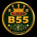 B55 game