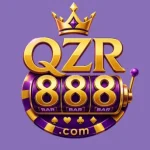 QZR game apk