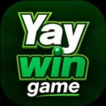 yaywin apk download